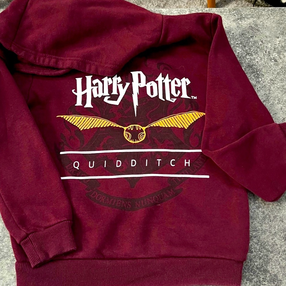 Harry Potter Gryffindor hoodie